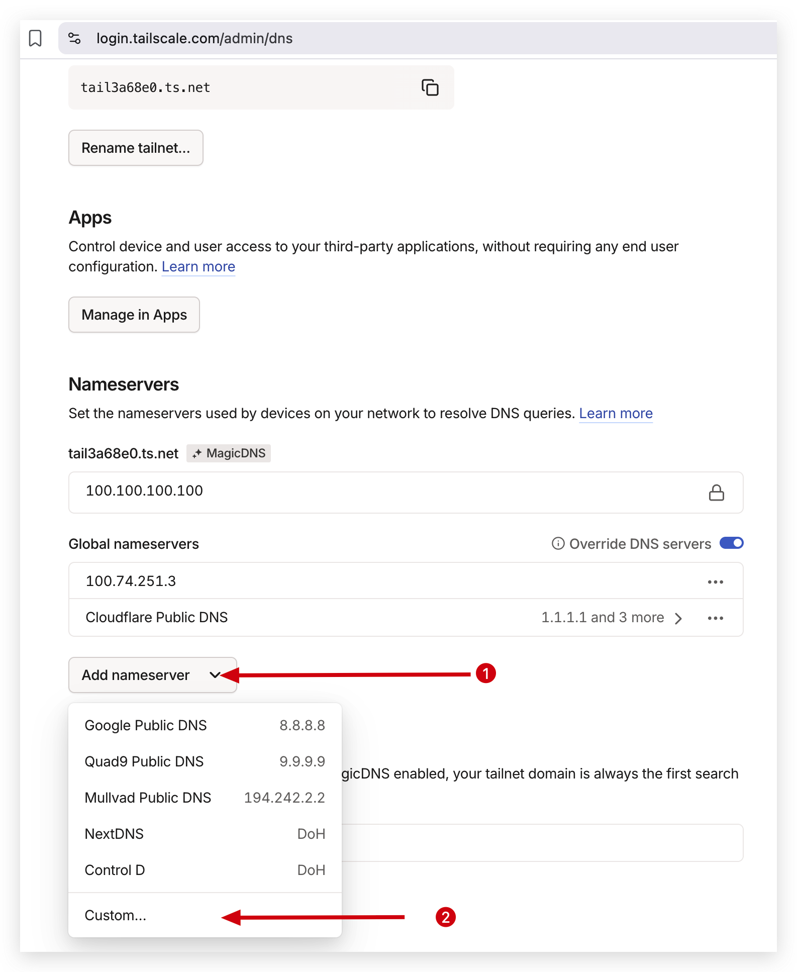 Tailscale DNS setup step 1